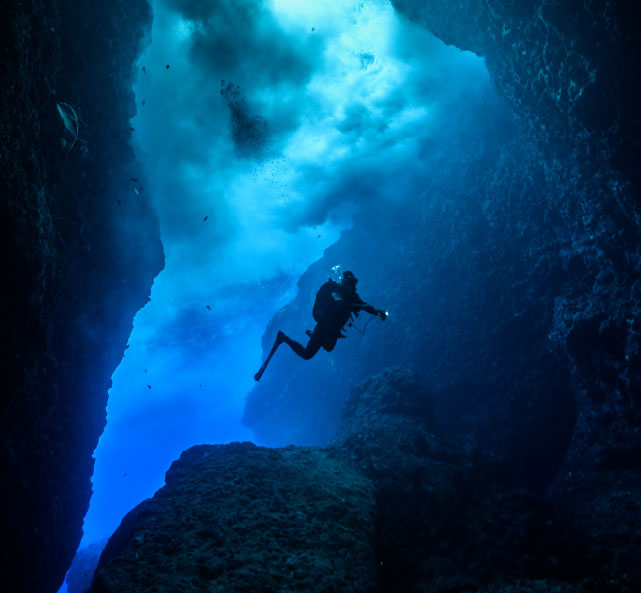 Image of scuba diver