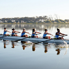 Image of women's rowing team