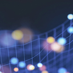 Lights with a net