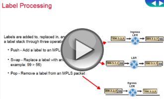 Label processing video thumb