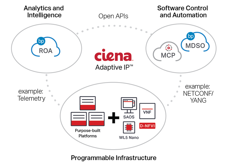 Ciena Adaptive IP solution diagram