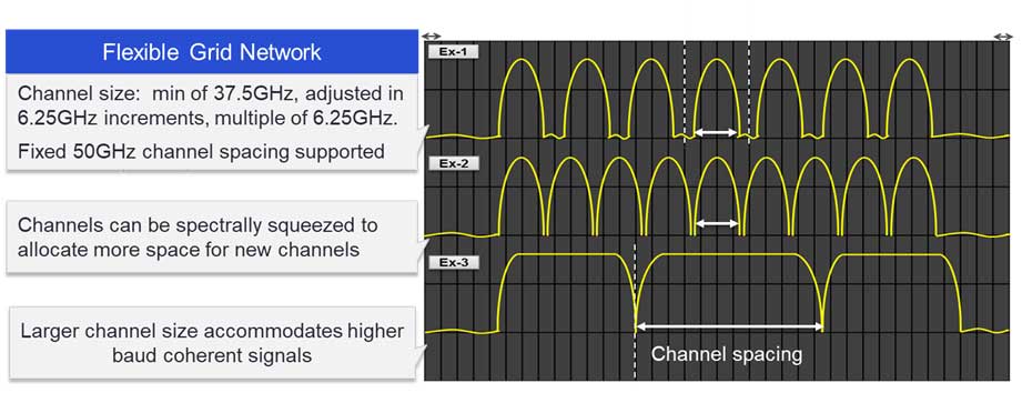 Diagram of flex grid network showing channel spacing