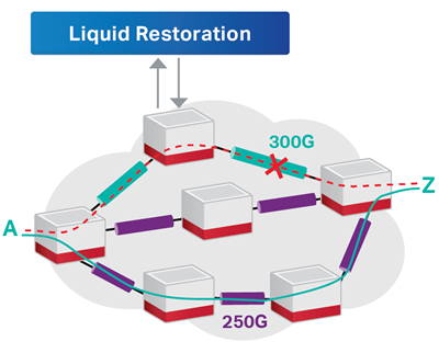 Liquid Restoration diagram