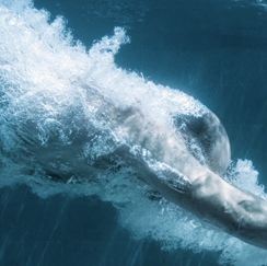 Person diving into water