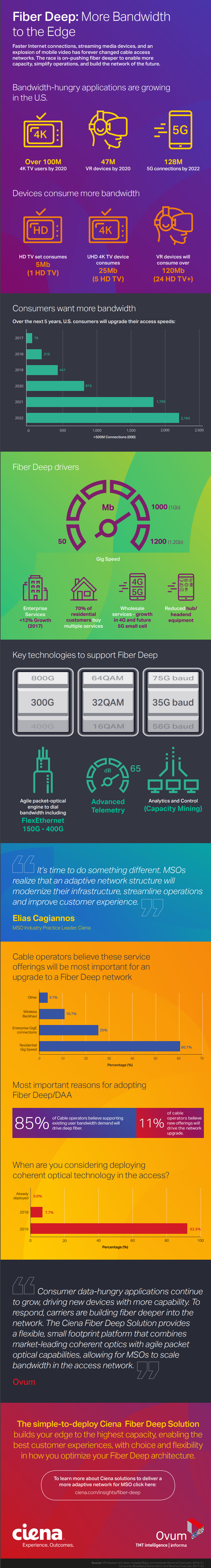 Fiber Deep Infograph