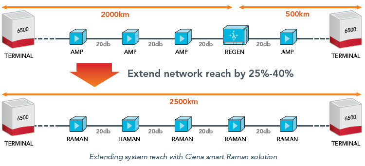Raman System Reach graphic