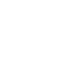 World Internet Traffic icon