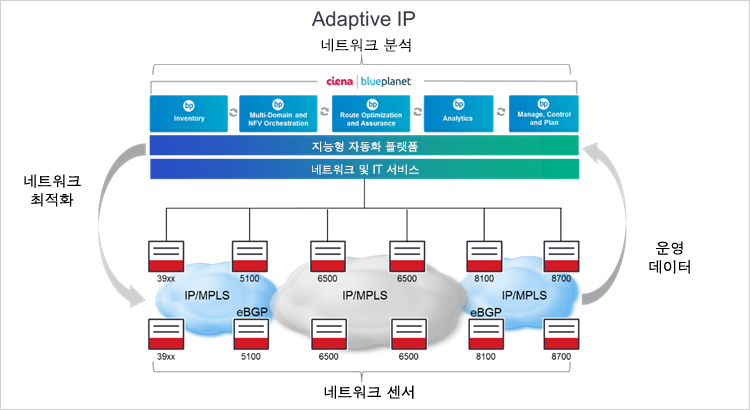 Ciena의 Adaptive IP 다이어그램