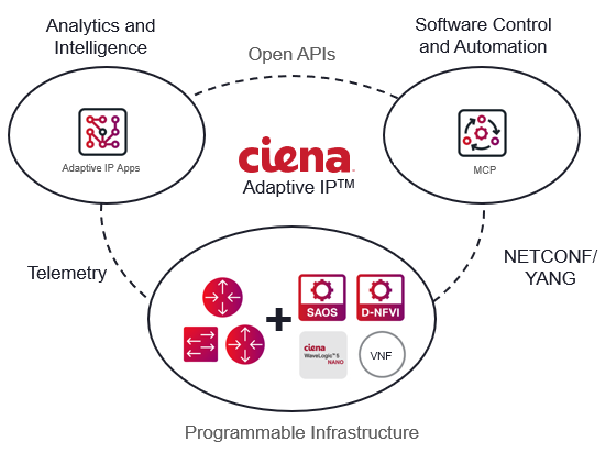 Ciena Adaptive IP Diagram