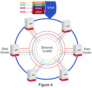 Enterprise OTN figure 4