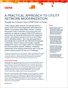 A Practical Approach to Utility Network Modernization