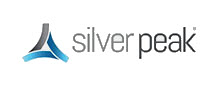 Silver peak logo