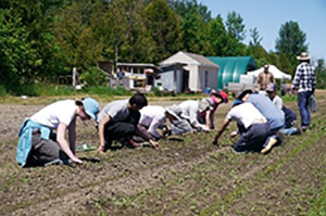 Ottawa Food Bank