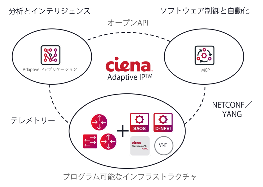 An adaptive IP diagram in Japanese