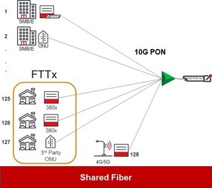 Illustration+of+Shared+Fiber