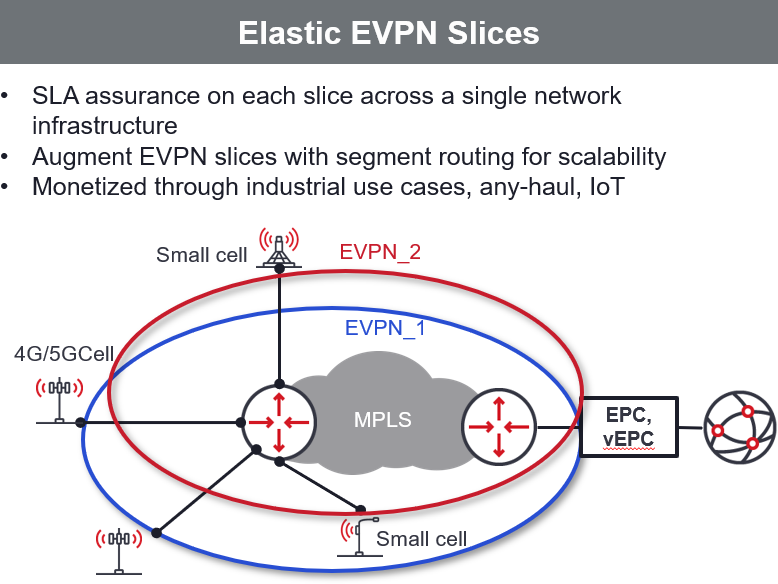 Elastic EVPN Slices diagram