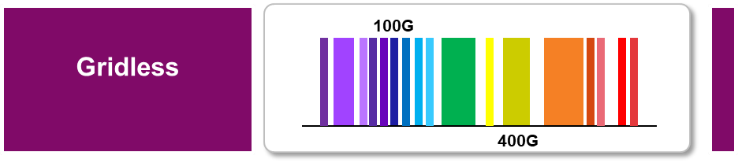 Gridless 100G/400G illustration