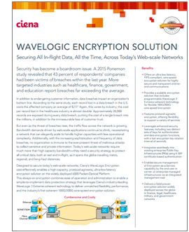 WaveLogic Encryption Solution document preview