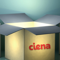 Lighted Ciena box
