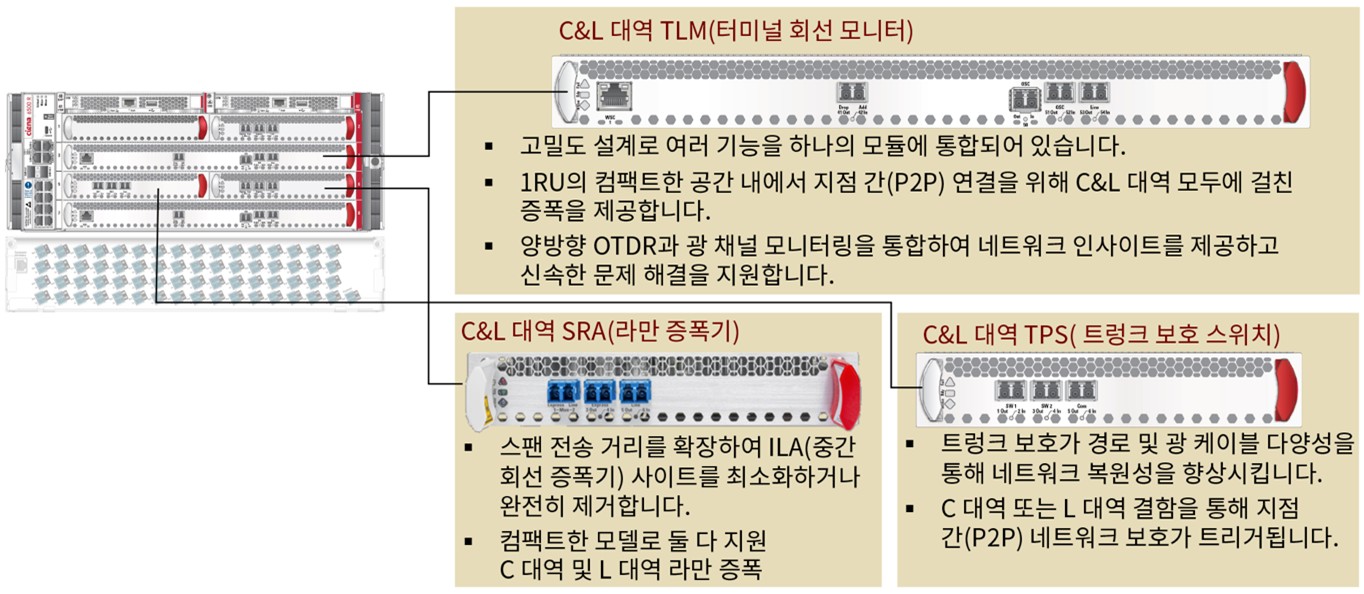 Details on Cienas RLS near scale across configuration