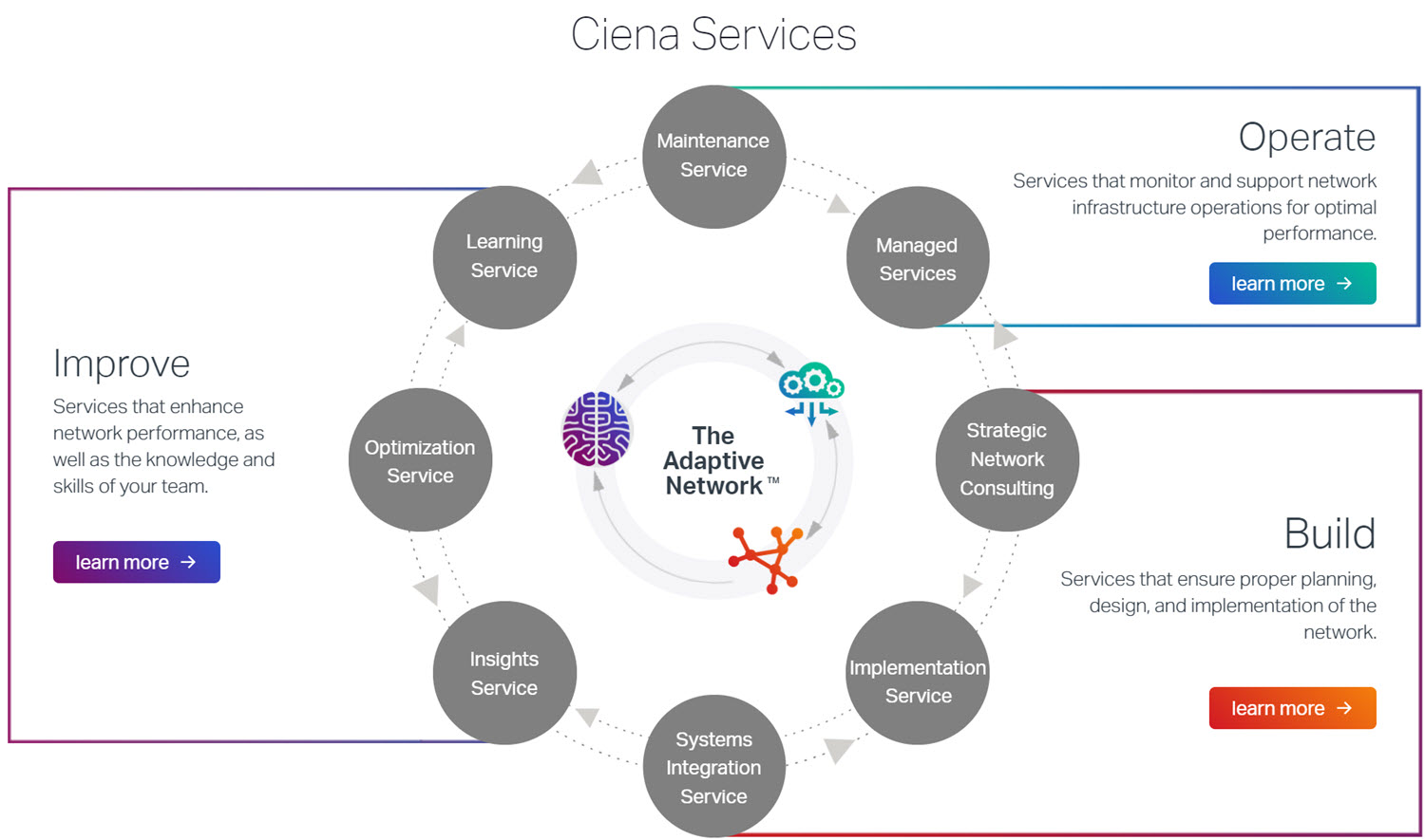 Ciena Services chart