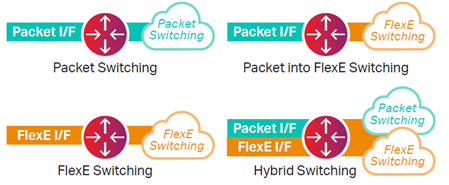 Packet and FlexE switching examples