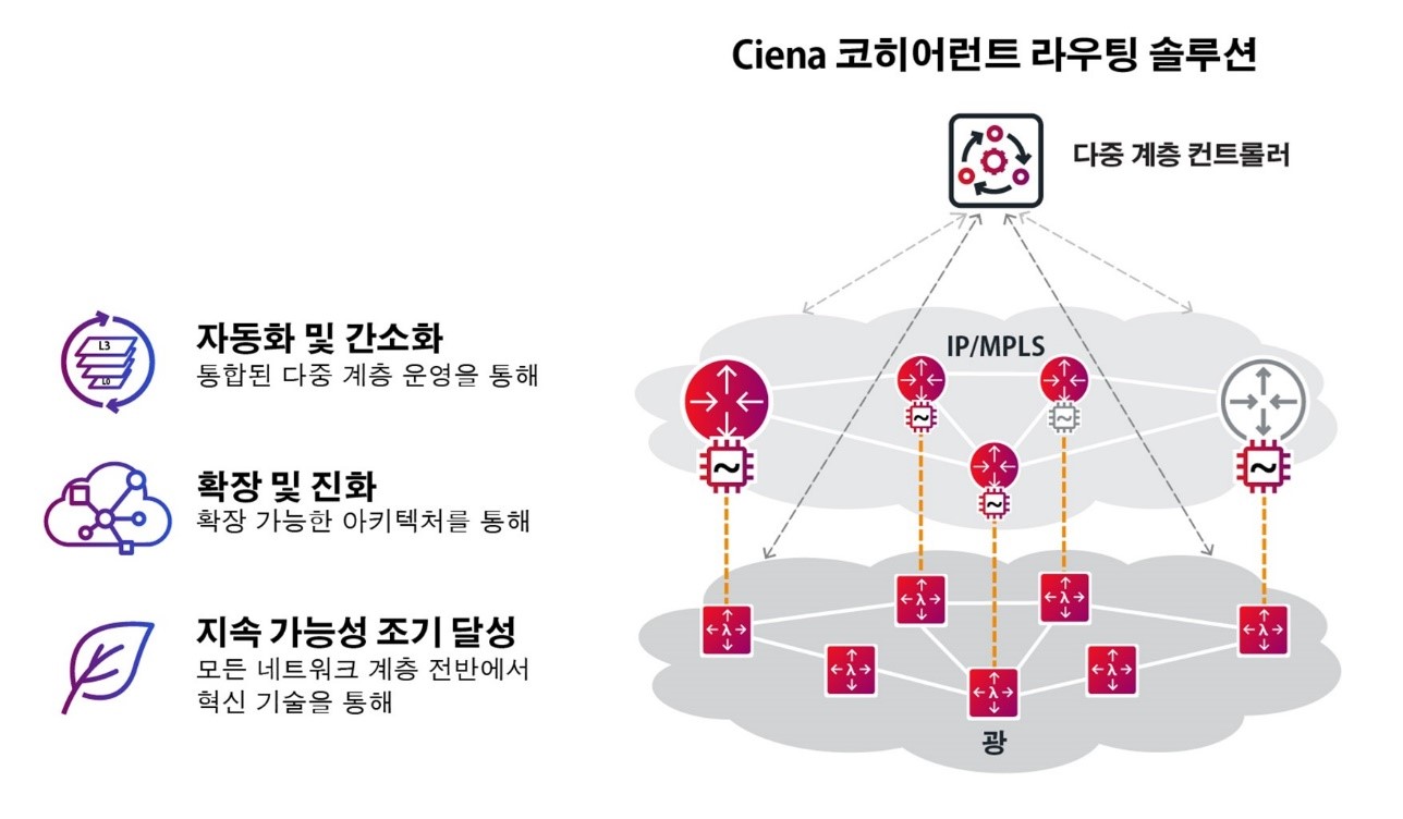 Ciena's Coherent Routing Final Diagram in Korean