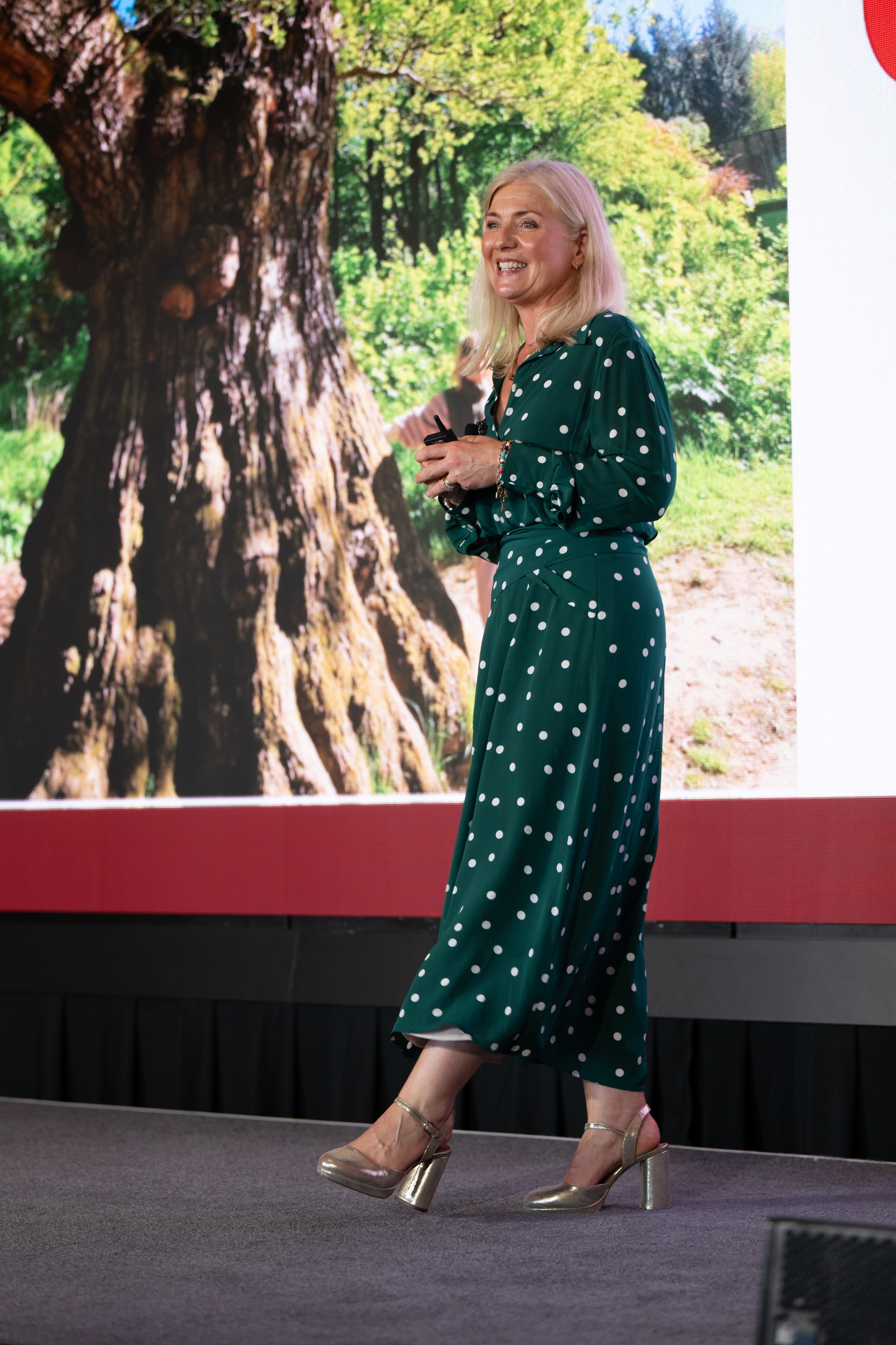 Lynne presenting on stage about supply chain sustainability