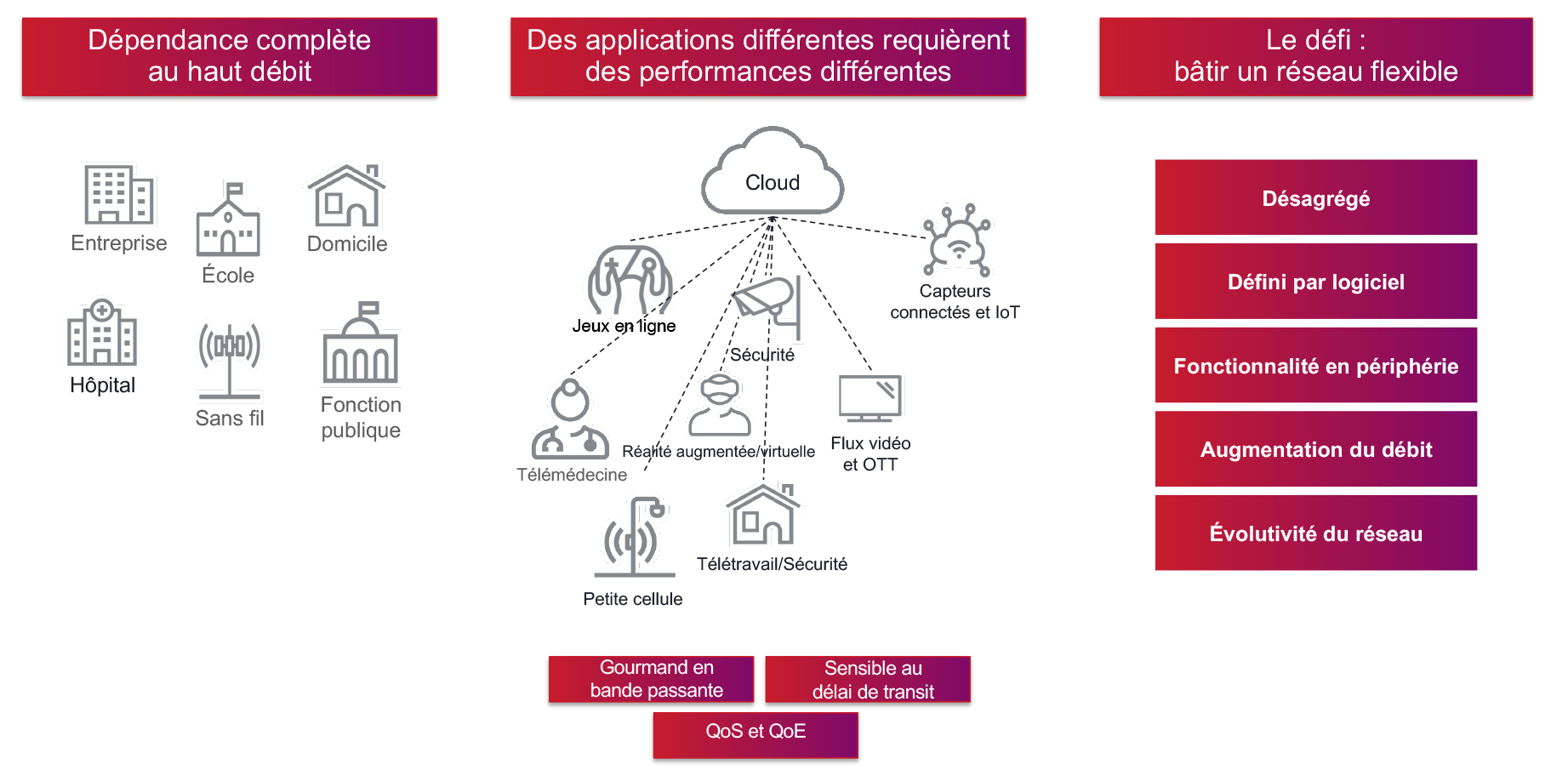 vBNG Figure 1 French translation