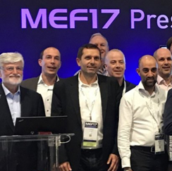 MEF image