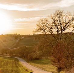 Winding country road