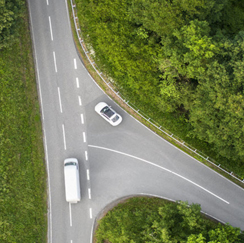 Aerial view of road and trees