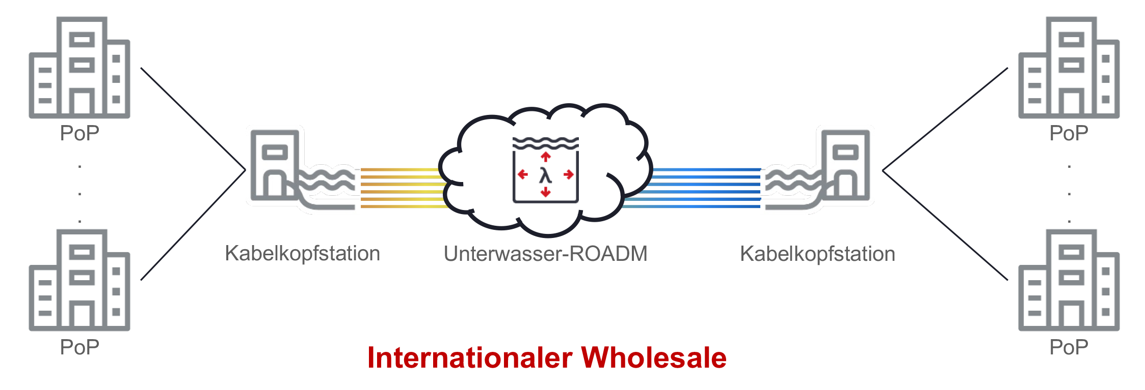 Figure 3_International Wholesaler Network Illustration