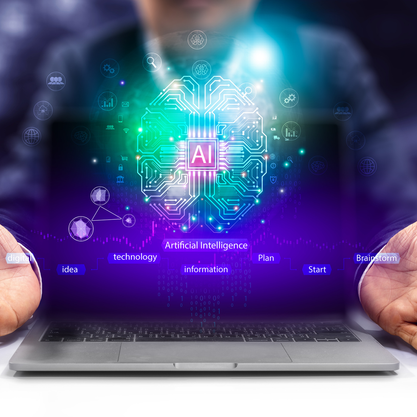 Ciena Network Insights