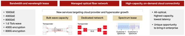 Chart showing three new business models targeting hyperscalers
