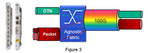 Enterprise OTN figure 3