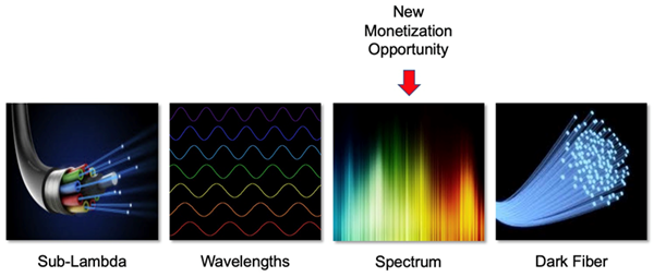 Evolution of submarine network services