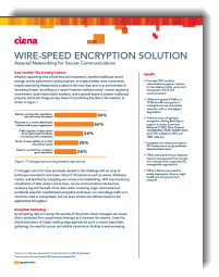 Wire-Speed Encryption Solution thumbnail promo