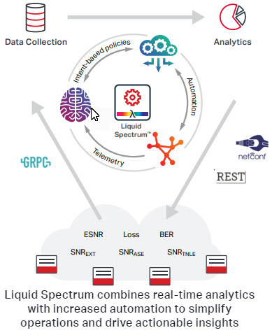 Predictive analytics: the key to optimizing your optical network