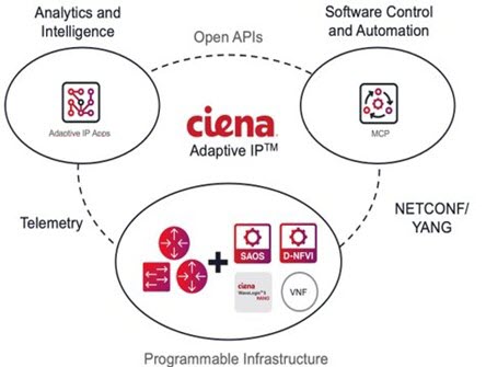 Adaptive IP Diagram