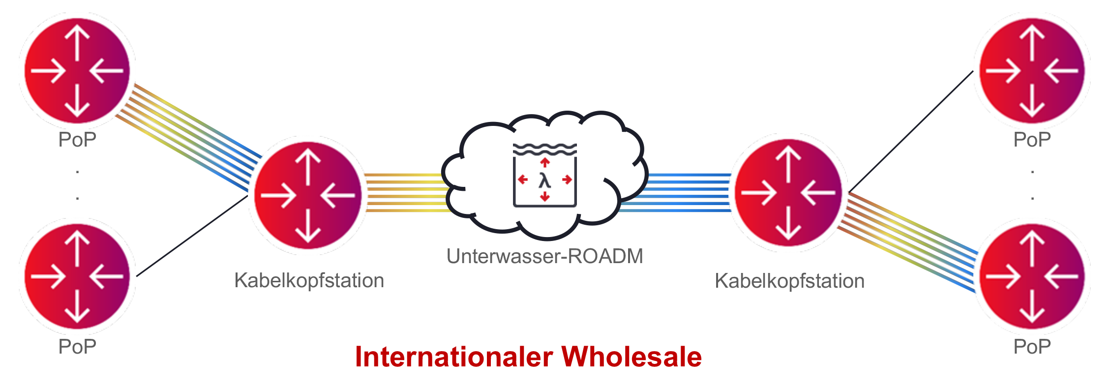 Figure 4_International Wholesaler Network Illustration