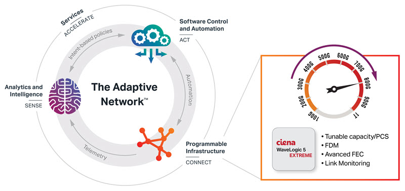 The Adaptive Network diagram