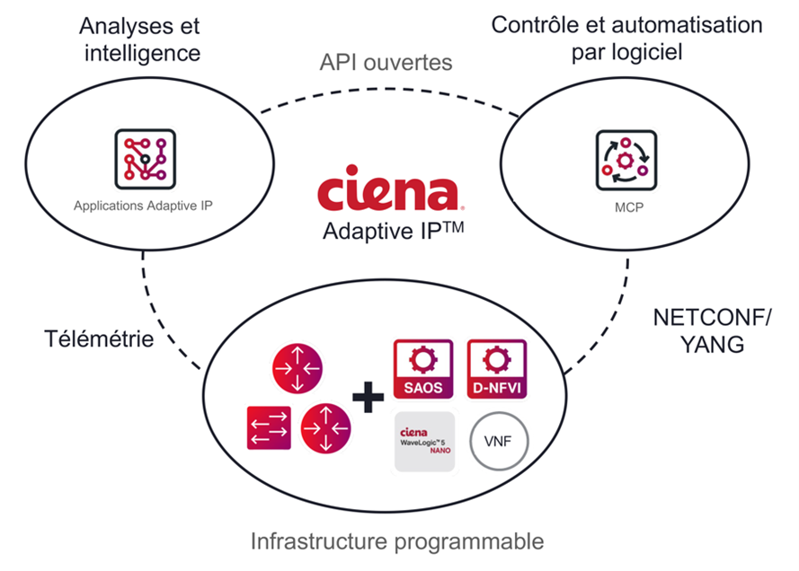 Adaptive IP Diagram translated in French