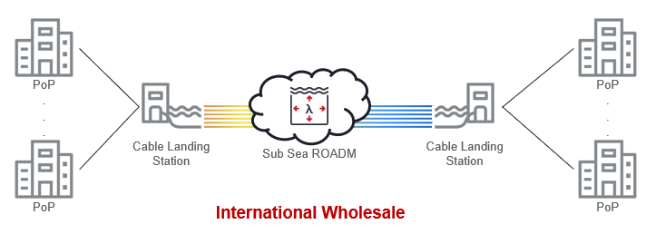 Figure 3_International Wholesaler Network Illustration