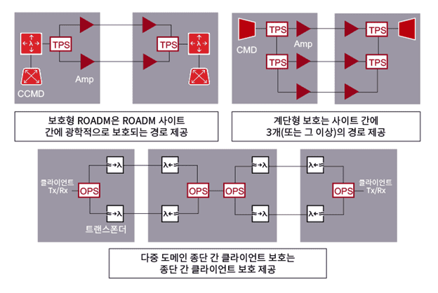 네트워크 복원력 요구 사항에 맞춰 선택할 수 있는 다양한 보호 아키텍처