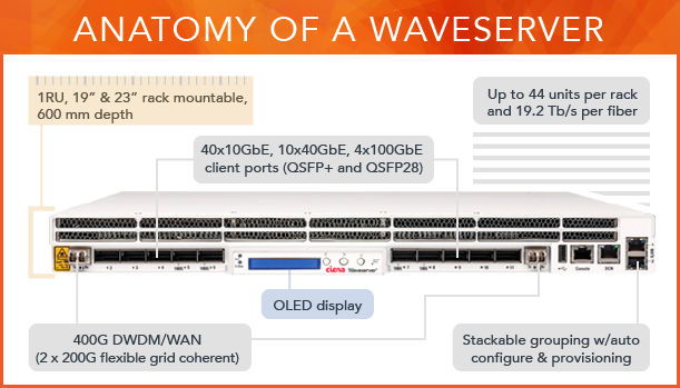 Anatomy of a Waveserver diagram