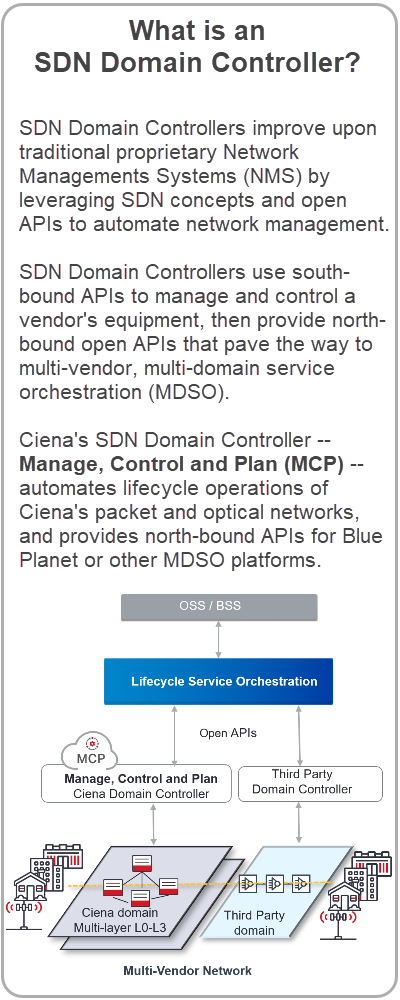 SDN Domain Controller Definition