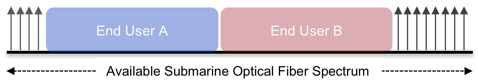 Virtualizing Submarine Cable Fibers via Spectrum Sharing