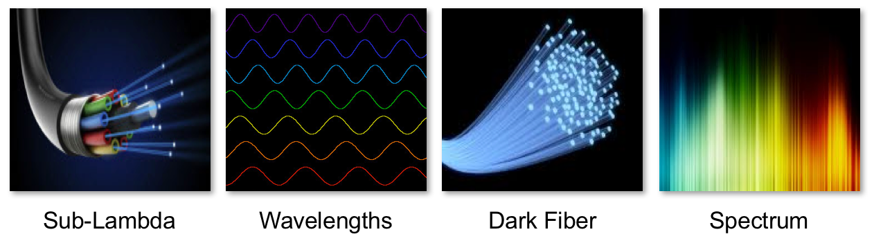 Evolution of Submarine Network Services