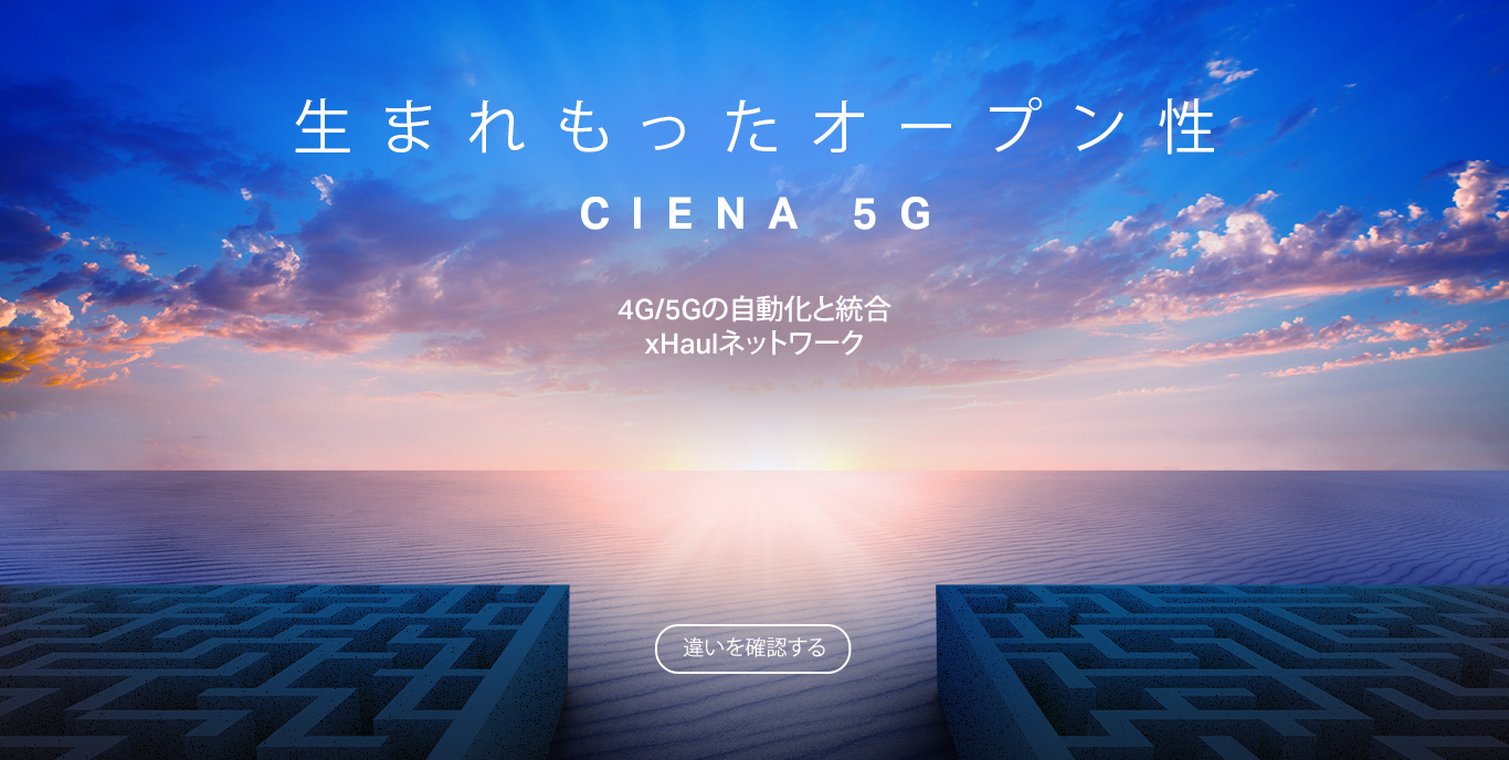 Japanese translation for Ciena_5G_Homepage_Brand Canvas Hero